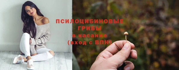 прущая мука Арсеньев